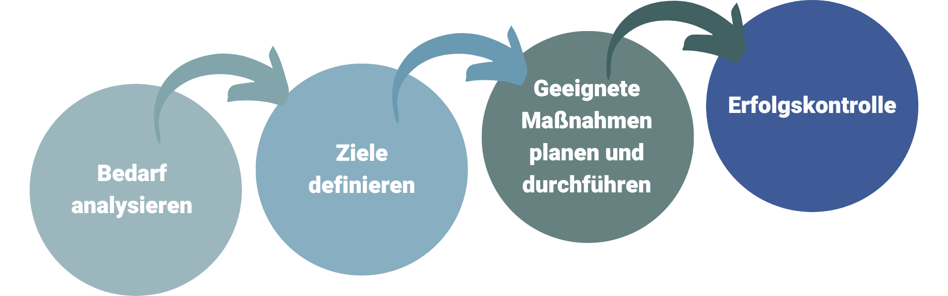 Die Stufen im Personalentwicklungsprozess