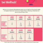 Vorschau_Wellhub_Paketuebersicht